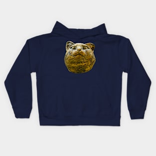 Cat with a grin statue Kids Hoodie